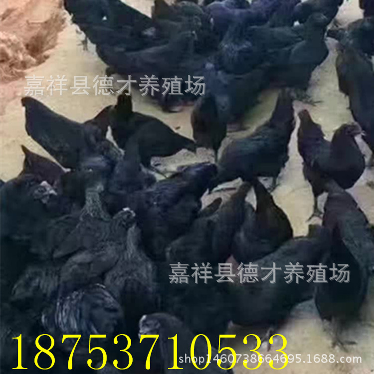 寰俊鍥剧墖_20171204203619_鍓湰_鍓湰1