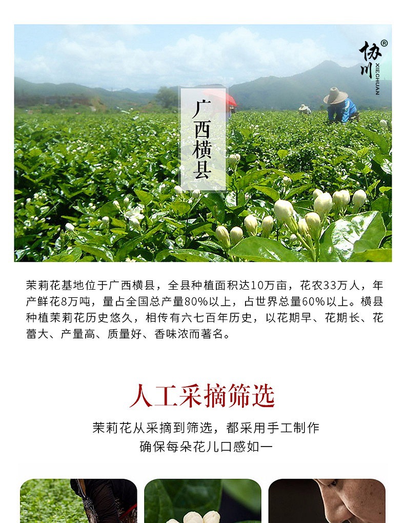 5浓香型茉莉花茶2019新茶特级散装茉莉花茶叶罐装茉莉香珠茉