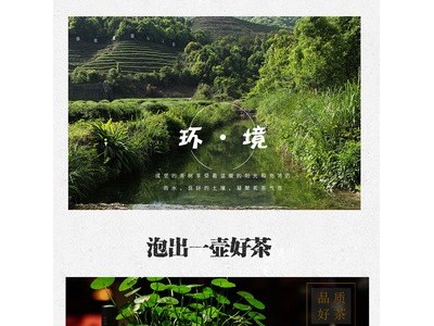2021茶叶平和白芽奇兰高山乌龙茶岩茶中火炭焙浓香型散茶批发图3