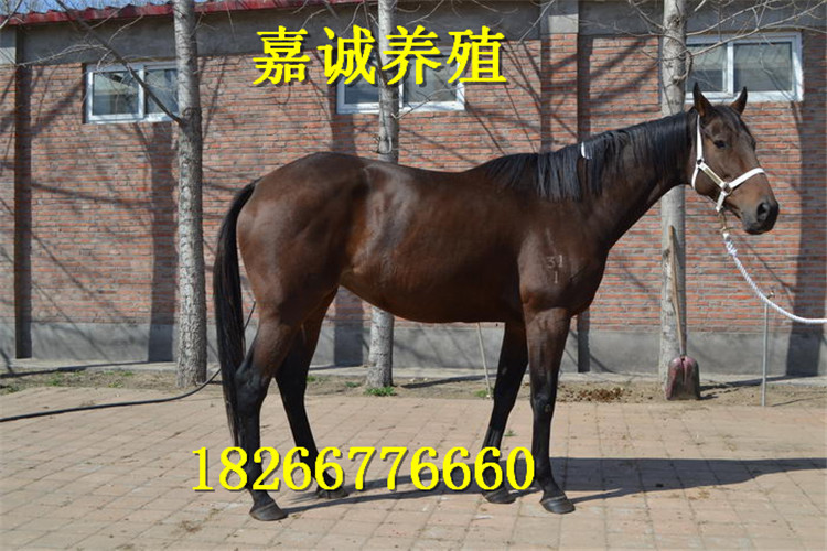 17_副本