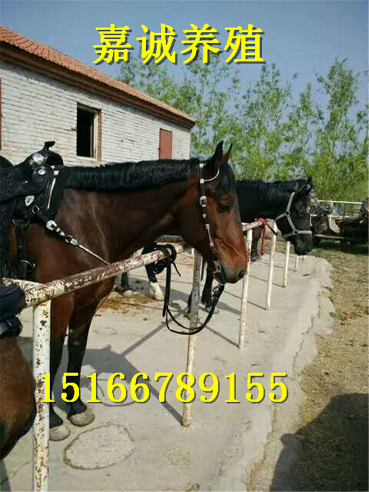 258439190537852312