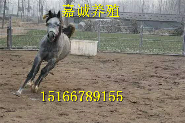 257543636898026211