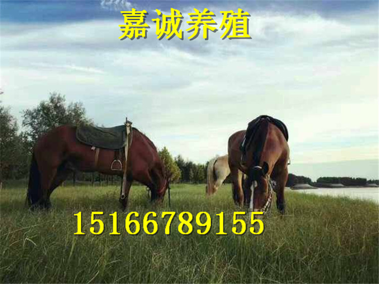 260435242308067845
