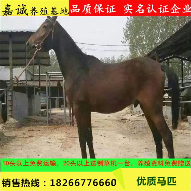 图片20170309093411
