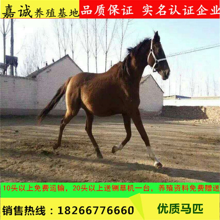 图片20170309093347
