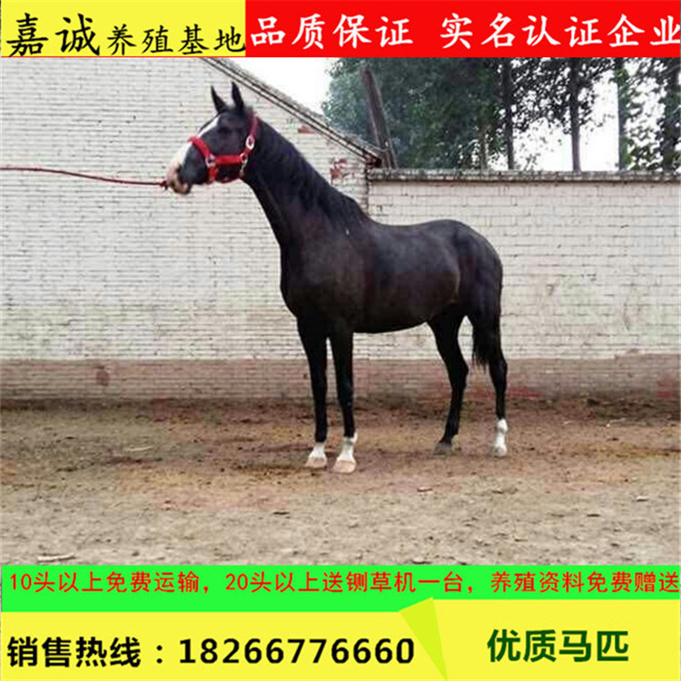图片20170309093358