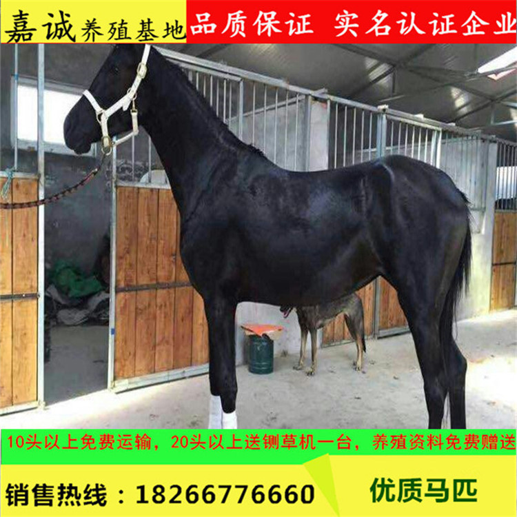 图片20170309093548