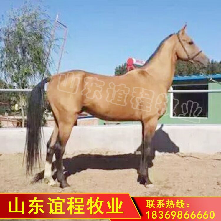 图片20160415094126