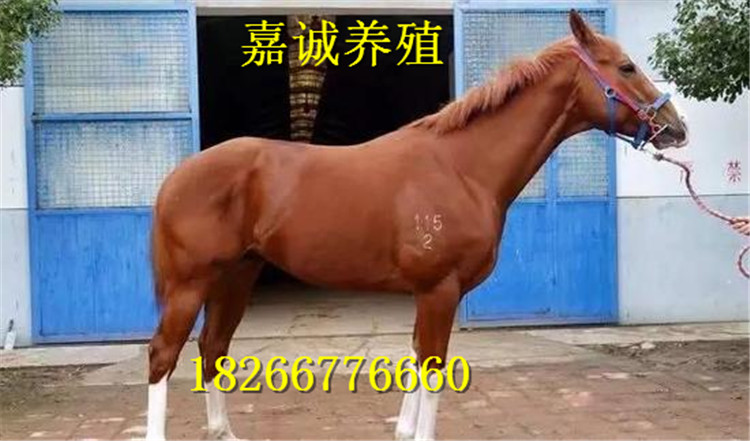 21_副本