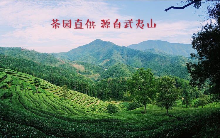 微信图片_20200416231058