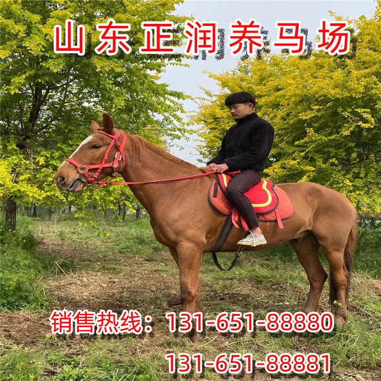 IMG_2478 副本.jpg