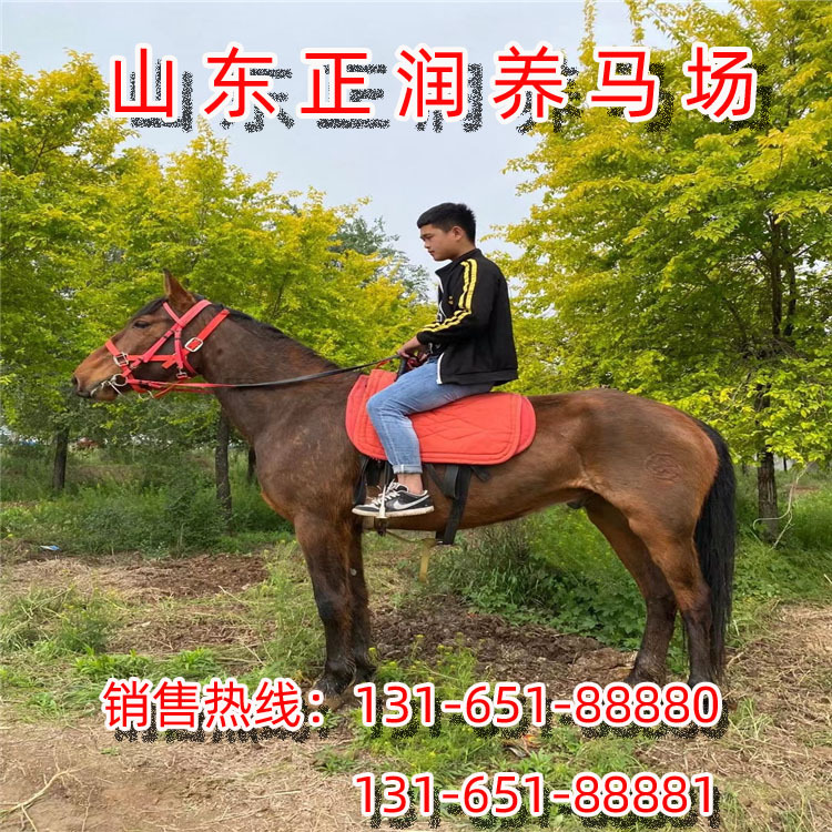 IMG_2477 副本.jpg