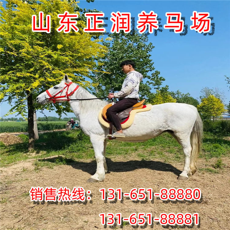 IMG_2485 副本.jpg