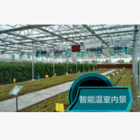 温室大棚,玻璃温室,就在金星温室公司.厂家销售,质优价廉