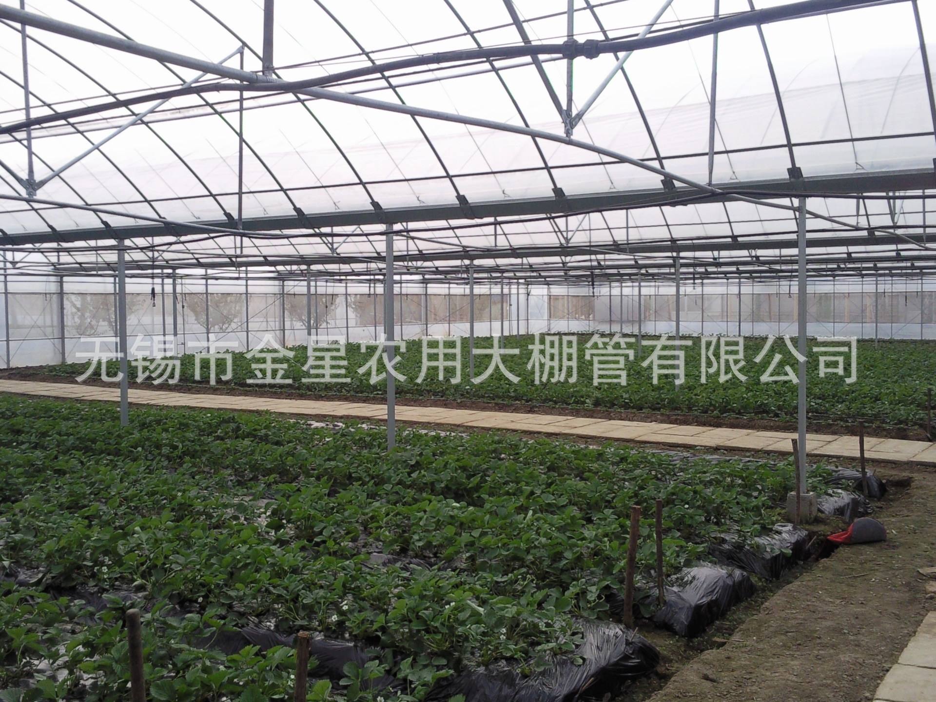 照片0039