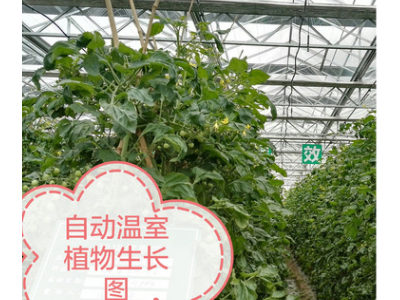 连栋大棚 .温室大棚,玻璃温室.现代示范农业园区首先产品图4