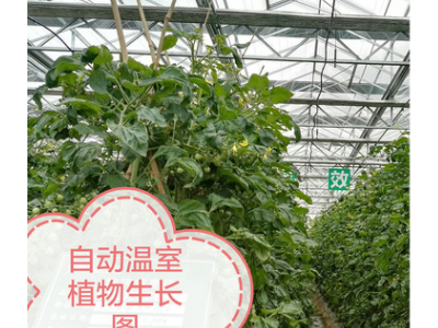 连栋大棚 .温室大棚,玻璃温室.现代示范农业园区首先产品图5