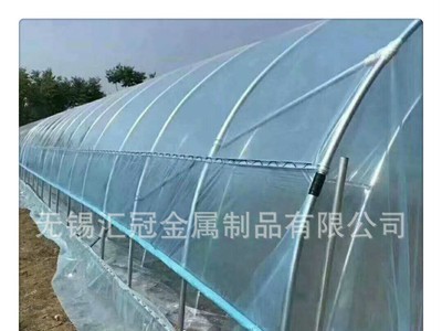 销售 农用大棚热镀锌管 蔬菜大棚 养殖大棚 种植大棚 抗压力强图4