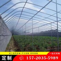 承接农用温室大棚工程连栋薄膜日光温室大棚蔬菜花卉养殖棚