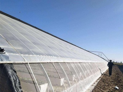 承接农用温室大棚工程连栋薄膜日光温室大棚蔬菜花卉养殖棚图2