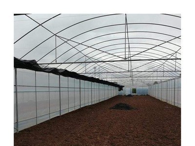 承接农用温室大棚工程连栋薄膜日光温室大棚蔬菜花卉养殖棚图5
