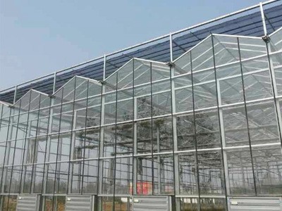 承接农用温室大棚工程连栋薄膜日光温室大棚蔬菜花卉养殖棚图4