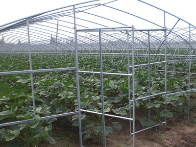 承接农用温室大棚工程连栋薄膜日光温室大棚蔬菜花卉养殖棚图3