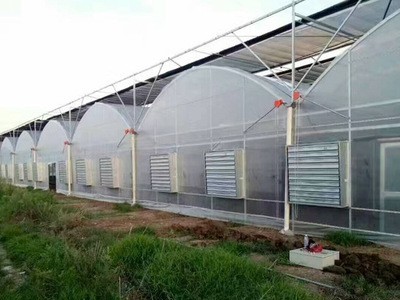 厂家生产蔬菜种植大棚管钢架 温室大棚工程钢架 连体花房大棚钢架图2