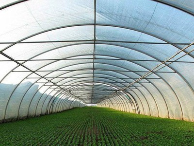 厂家生产蔬菜种植大棚管钢架 温室大棚工程钢架 连体花房大棚钢架图3