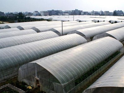 厂家生产蔬菜种植大棚管钢架 温室大棚工程钢架 连体花房大棚钢架图4