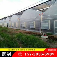 工厂加工定制连栋大棚日光温室智能连栋养殖大棚玻璃温室大棚骨架