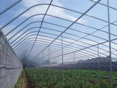 工厂加工定制连栋大棚日光温室智能连栋养殖大棚玻璃温室大棚骨架图5