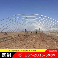 定制安装简易连体温室大棚钢架 大棚骨架 连栋温室大棚 可定制