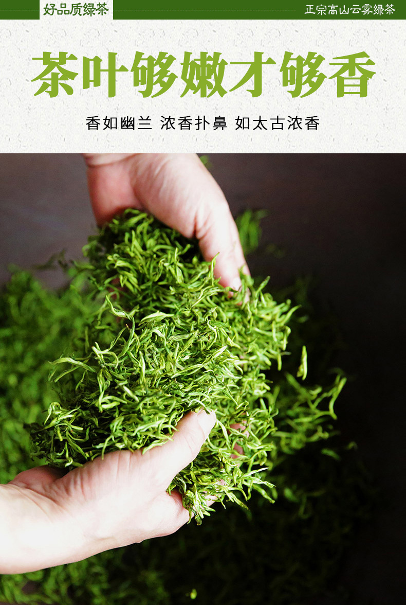 云雾绿茶 (6).jpg