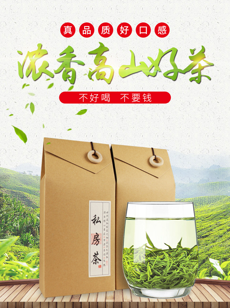 云雾绿茶 (1).jpg
