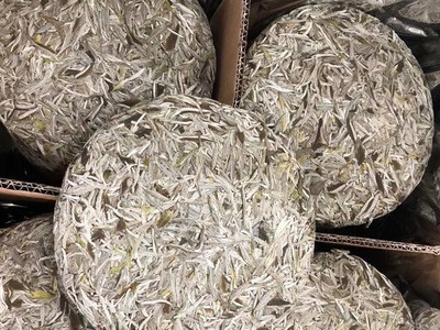 2021年福鼎白茶磻溪高山白毫银针饼茶300g源产地散茶饼茶批发定制图2