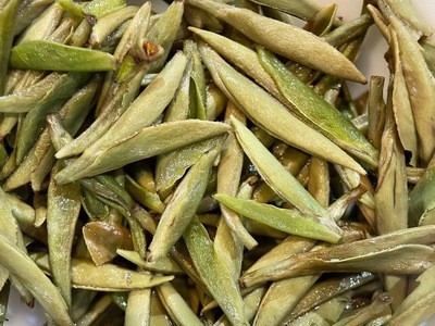 2021年新茶头采白毫银针散茶福鼎白茶磻溪日晒茶叶源产地现货批发图4