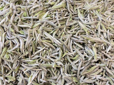 2021年新茶头采白毫银针散茶福鼎白茶磻溪日晒茶叶源产地现货批发图3