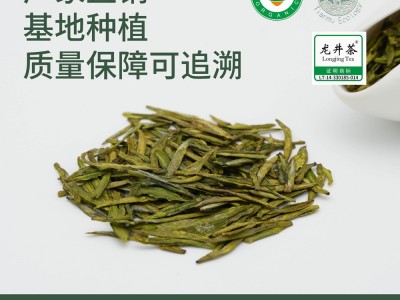 厂家直销 杭州明前新茶有机龙井茶叶绿茶 散装批发图2