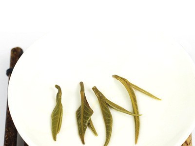 2021新茶广西横县茉莉花茶茉莉白玉螺茶叶浓香耐泡特级厂家批发图4