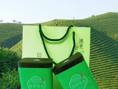 茶叶绿茶信阳毛尖2021新茶春茶绿茶毛尖茶绿茶自产自销125g装包邮图5