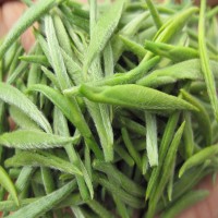 茶叶绿茶信阳毛尖2021新茶春茶绿茶毛尖茶绿茶自产自销125g装包邮