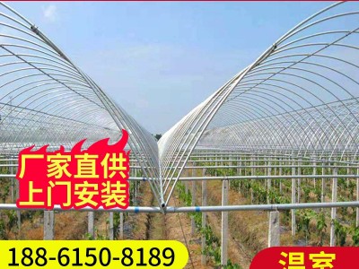 养殖大棚 镀锌保温养殖植物生长帐篷 农用阳光板温室大棚插地棚图3