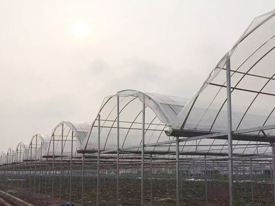 批发代理连栋大棚 薄膜连拱温室骨架 花卉园艺蔬菜温室大棚图4
