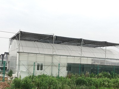 批发代理连栋大棚 薄膜连拱温室骨架 花卉园艺蔬菜温室大棚图2