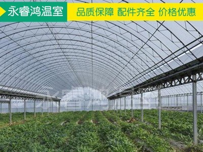 【大棚钢管】内外遮阳连栋大棚种植养殖温室大棚骨架钢大棚钢管图2