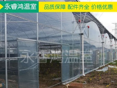 【大棚钢管】内外遮阳连栋大棚种植养殖温室大棚骨架钢大棚钢管图3