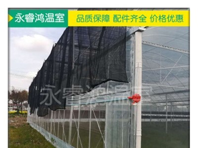 【大棚钢管】内外遮阳连栋大棚种植养殖温室大棚骨架钢大棚钢管图4