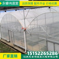 【大棚钢管】内外遮阳连栋大棚种植养殖温室大棚骨架钢大棚钢管