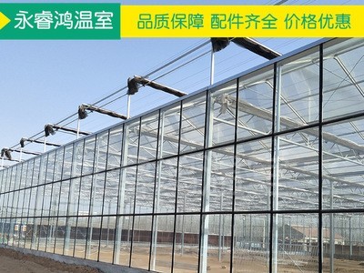 【温室大棚】厂家定制纹络式玻璃花卉连栋蔬菜蘑菇绿植温室大棚图3